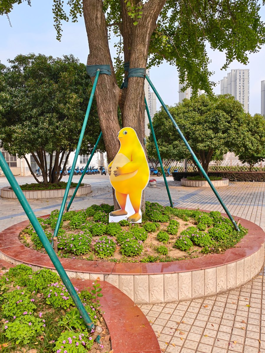 校园风光