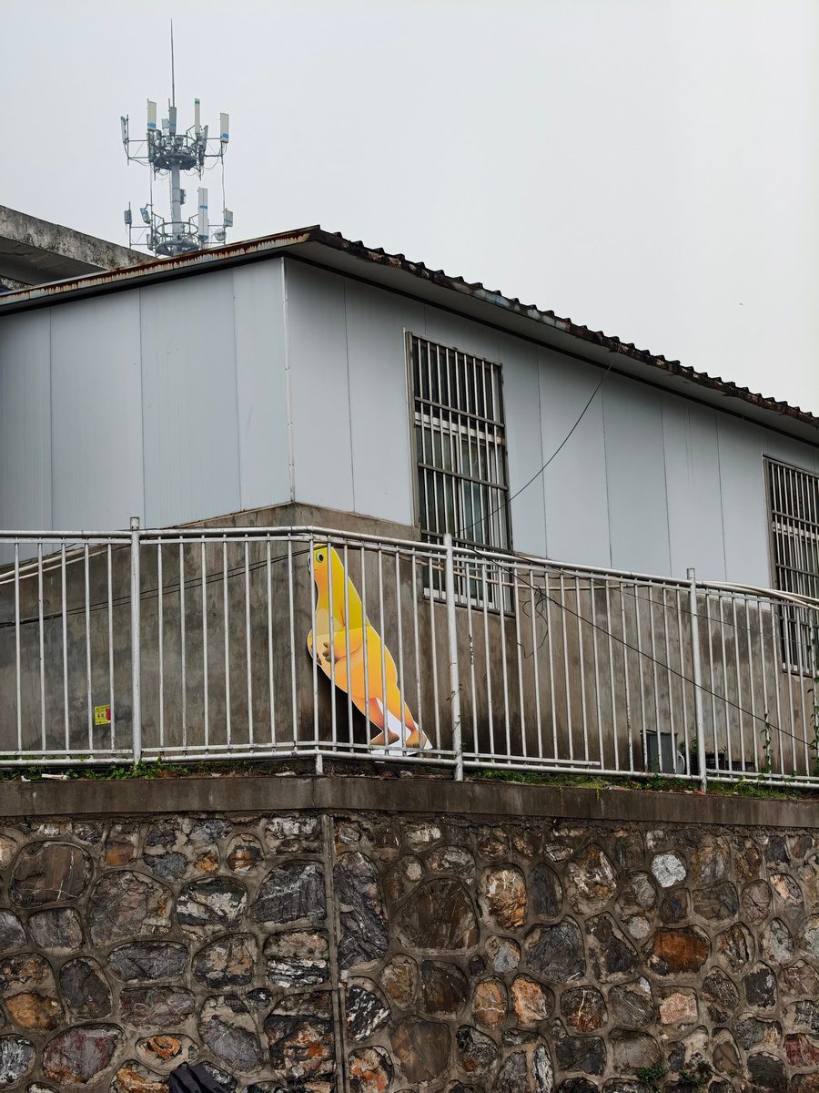 校园风光