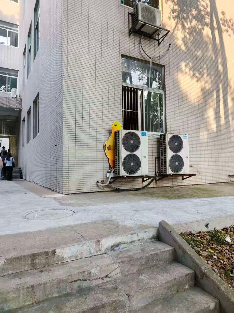 校园风光